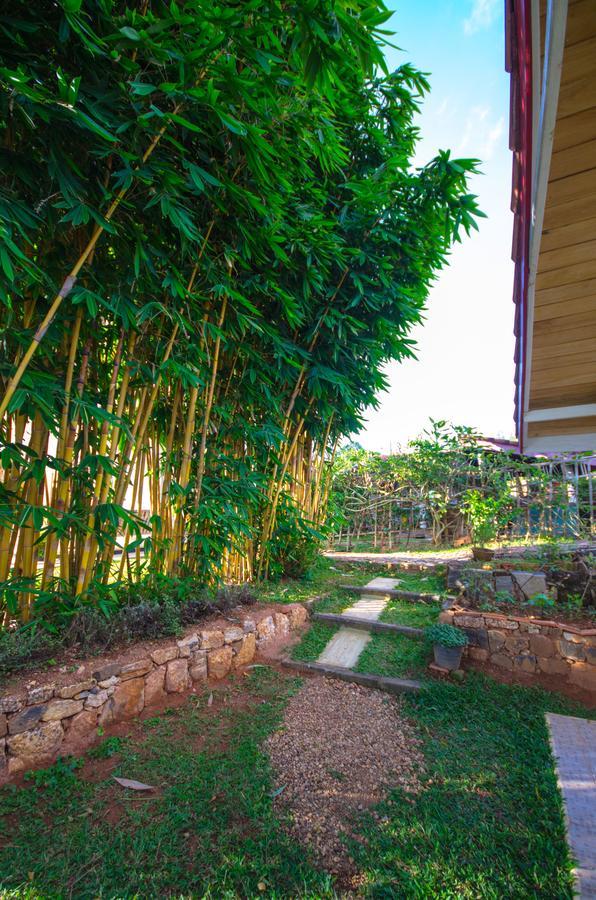 Summit View Bed & Breakfast Kandy Exterior photo