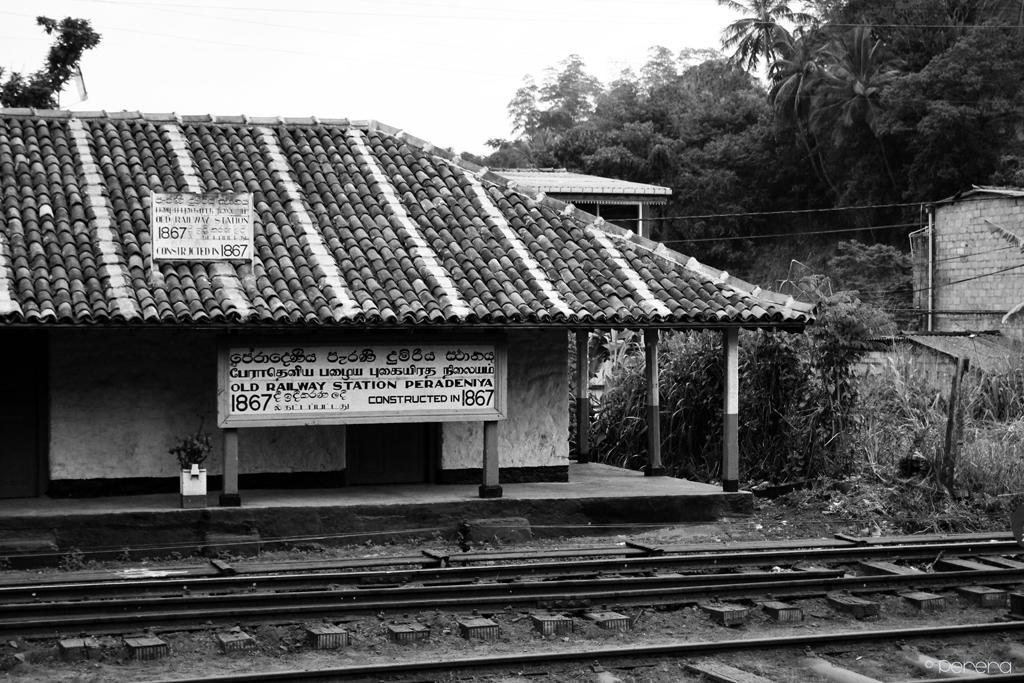 Summit View Bed & Breakfast Kandy Exterior photo