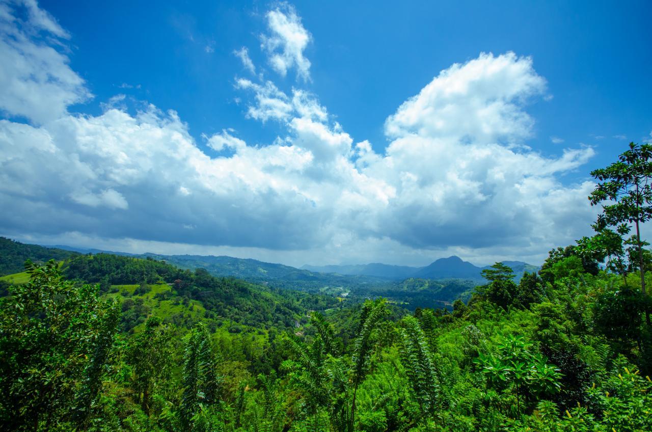 Summit View Bed & Breakfast Kandy Exterior photo